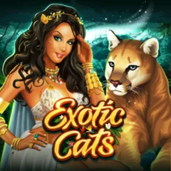 Exotic Cats - RICHES138