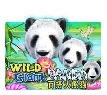 Wild Giant Panda - RICHES138