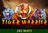 Tiger Warrior - RICHES138