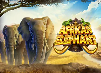 African Elephant - RICHES138